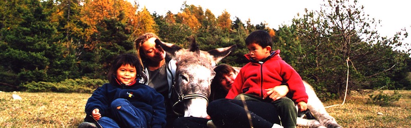family holidays with a donkey in France